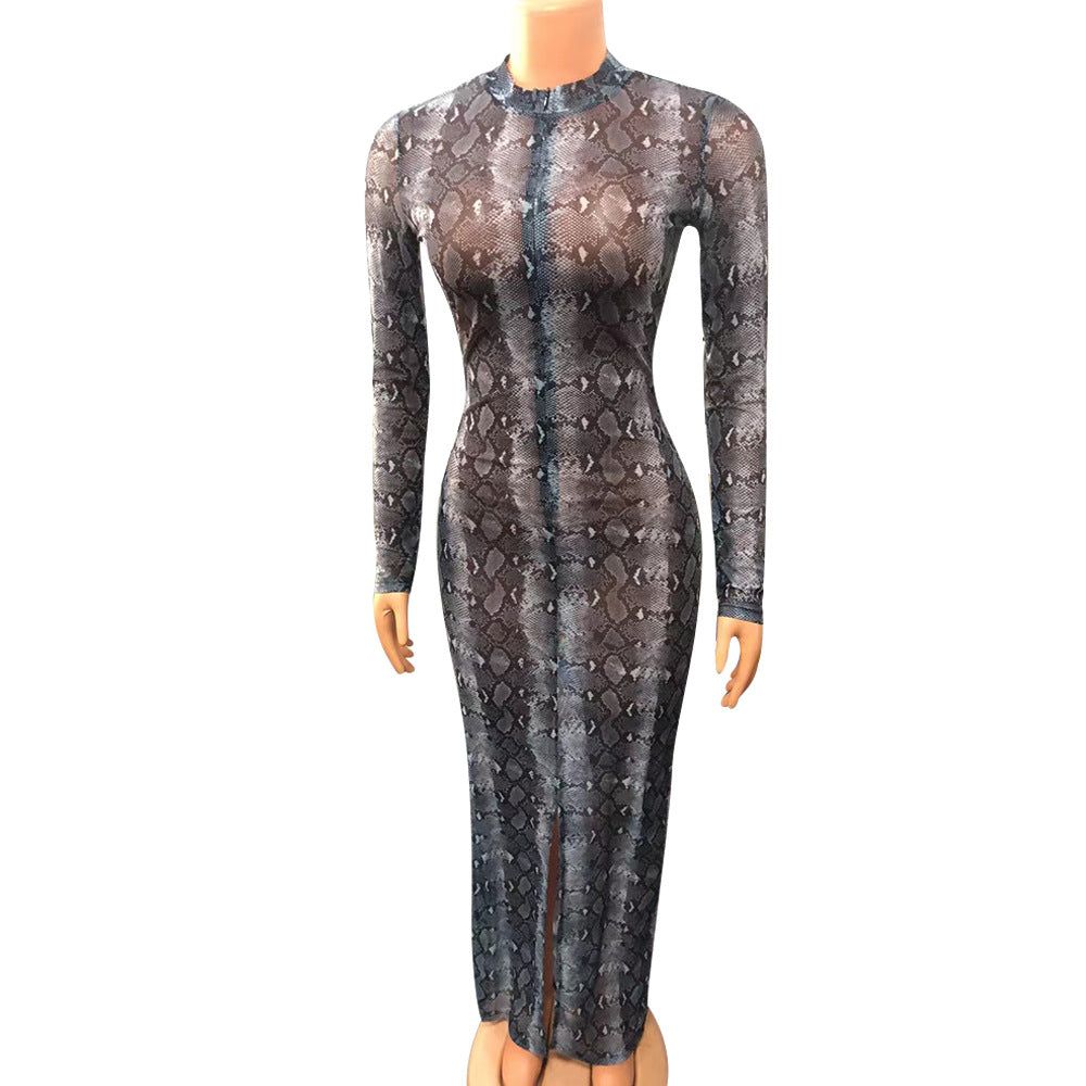 Sheer Mesh Print Long-sleeve Dress